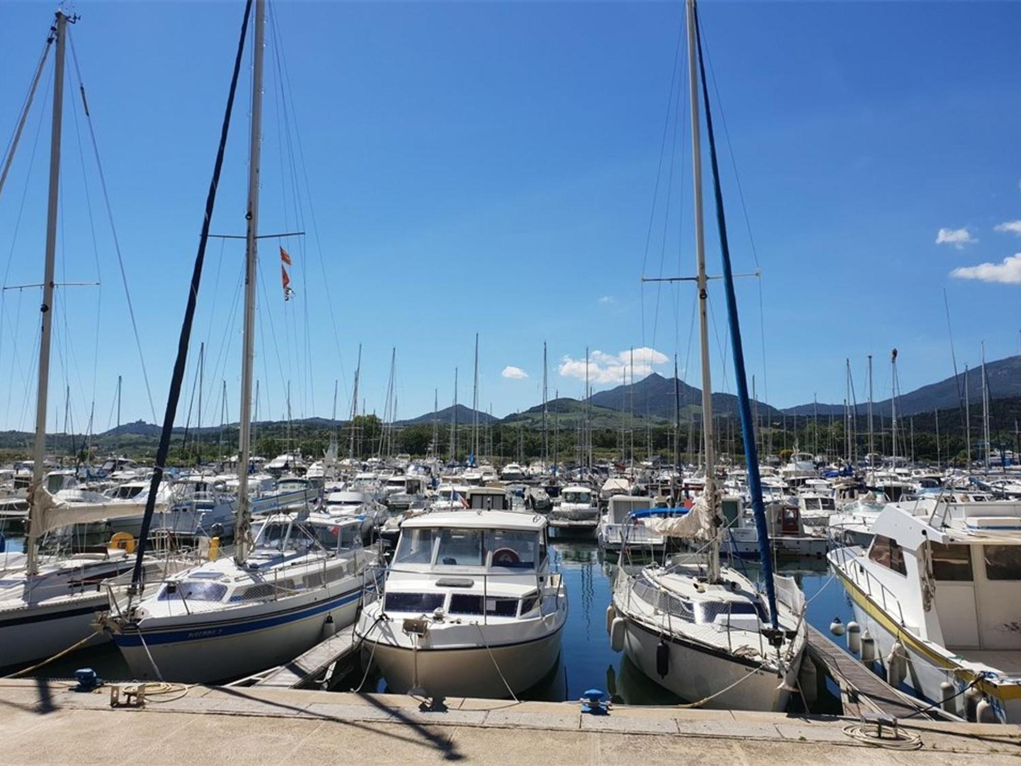 Appartement Climatise A Argeles-Sur-Mer Avec Parking - 4 Couchages - Fr-1-388-52 Eksteriør billede
