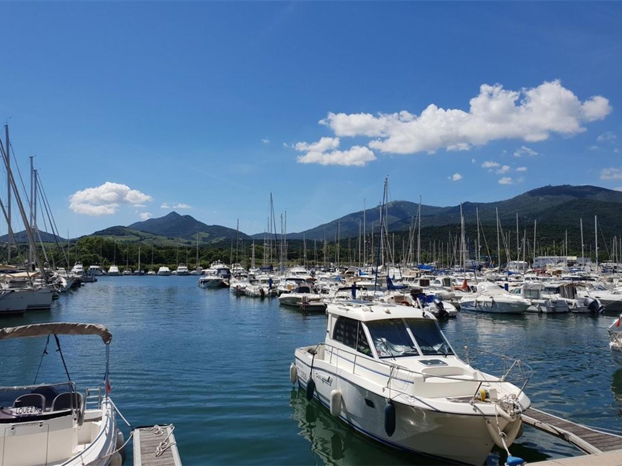 Appartement Climatise A Argeles-Sur-Mer Avec Parking - 4 Couchages - Fr-1-388-52 Eksteriør billede